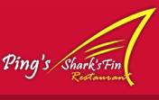 ping's logo